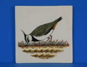 tegels en schalen 029