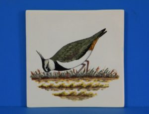 tegels en schalen 029